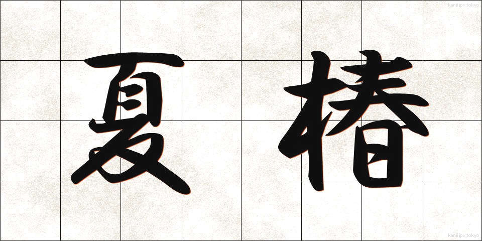 夏椿 (なつつばき)