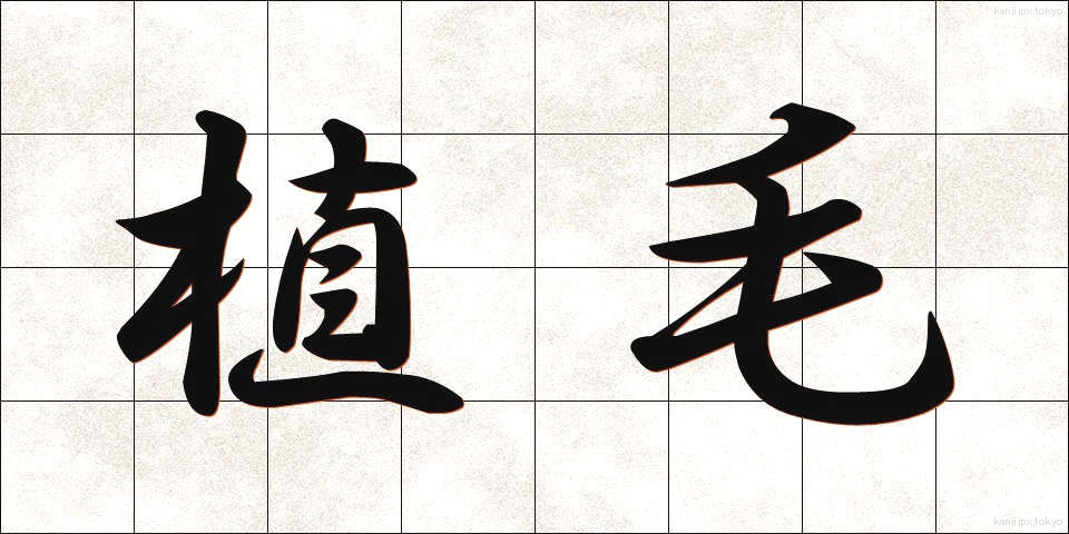植毛 (しょくもう)