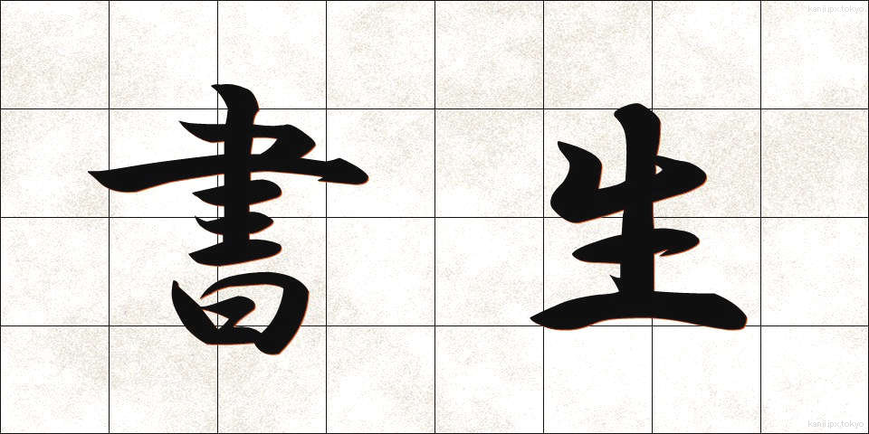 書生 (しょせい)