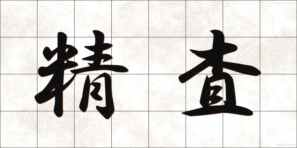 精査 (せいさ)