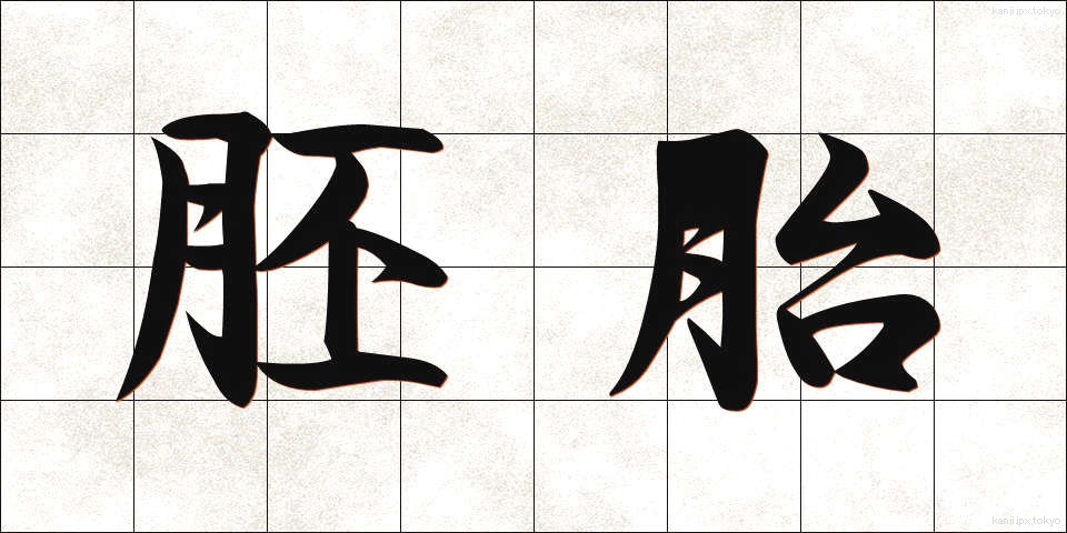 胚胎 (はいたい)