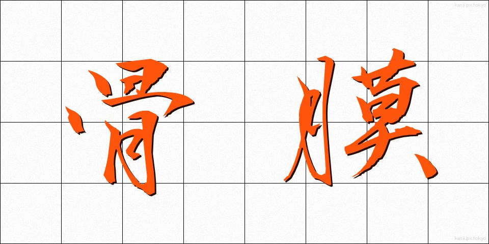 骨膜 (こつまく)