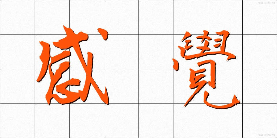 感覺 (かんかく)