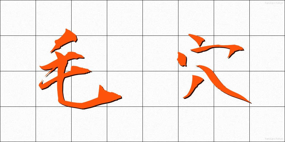 毛穴 (けあな)