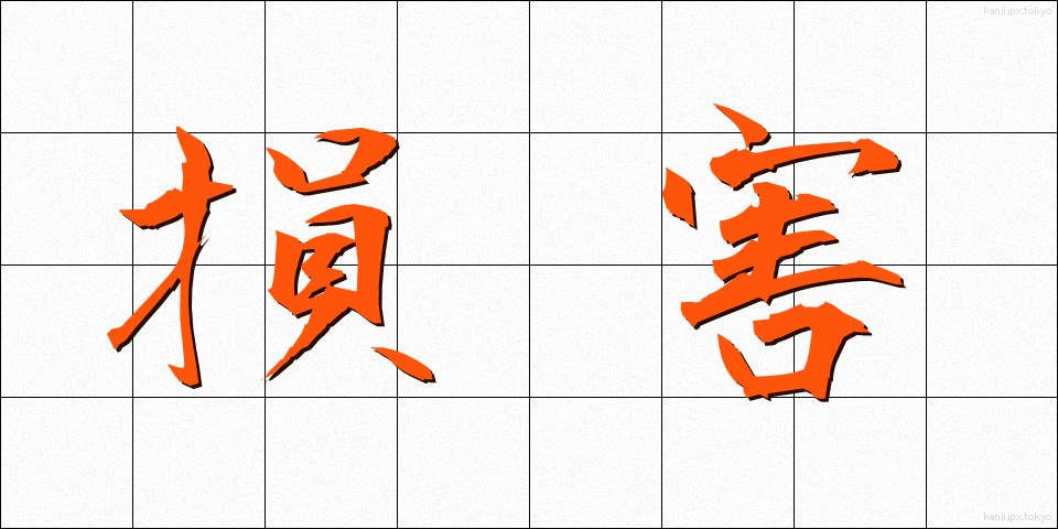 損害 (そんがい)