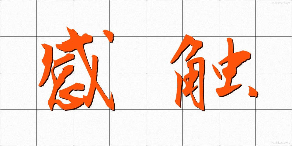 感触 (かんしょく)