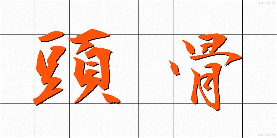 頭骨 (ずこつ)