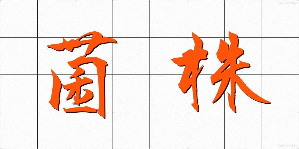 菌株 (きんかぶ)