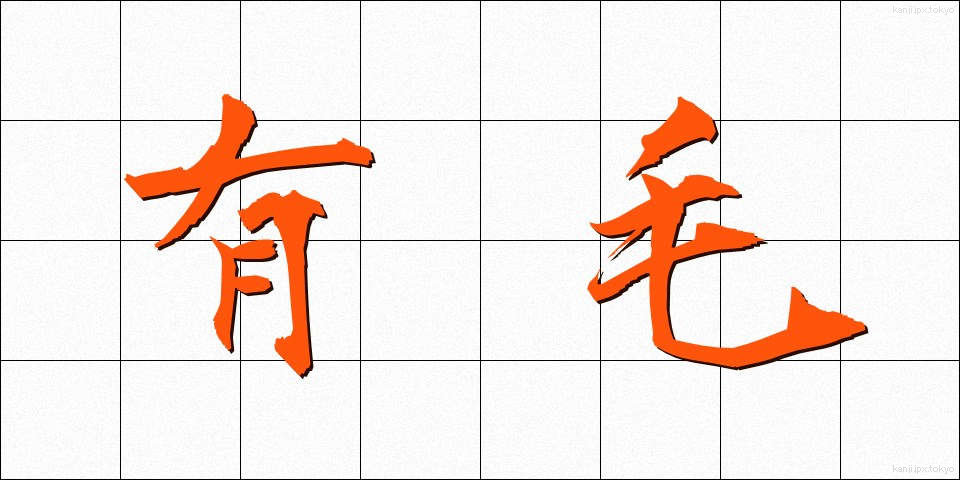 有毛 (ゆうもう)