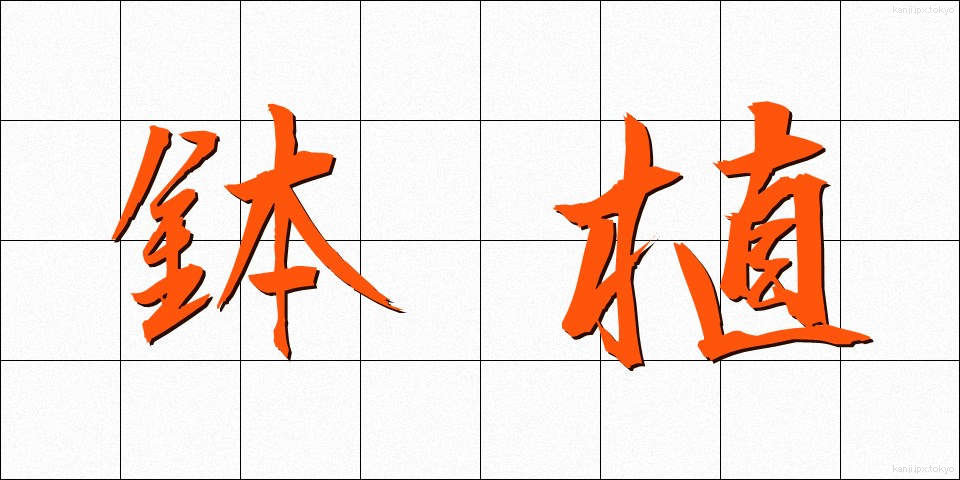 鉢植 (はちうえ)