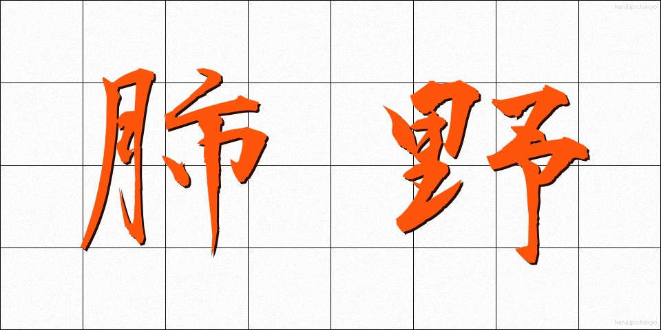 肺野 (はいや)
