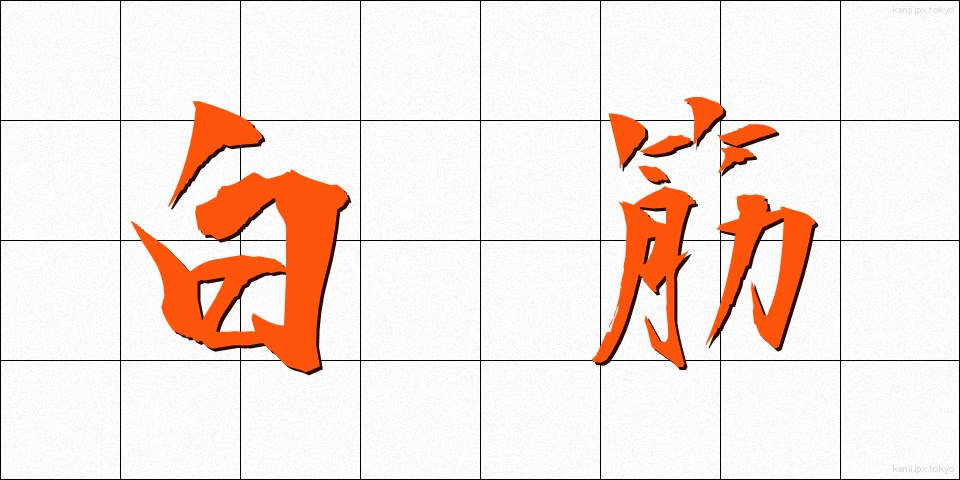 白筋 (しろすじ)