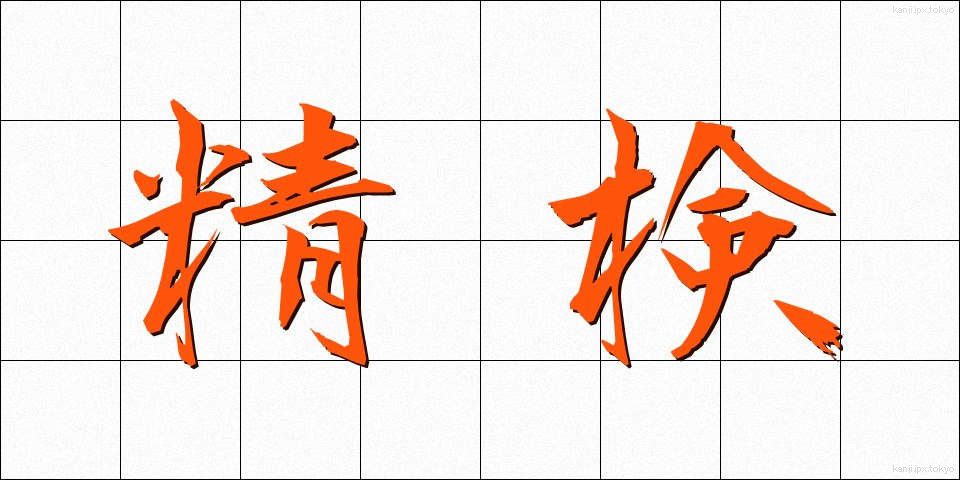 精検 (せいけん)