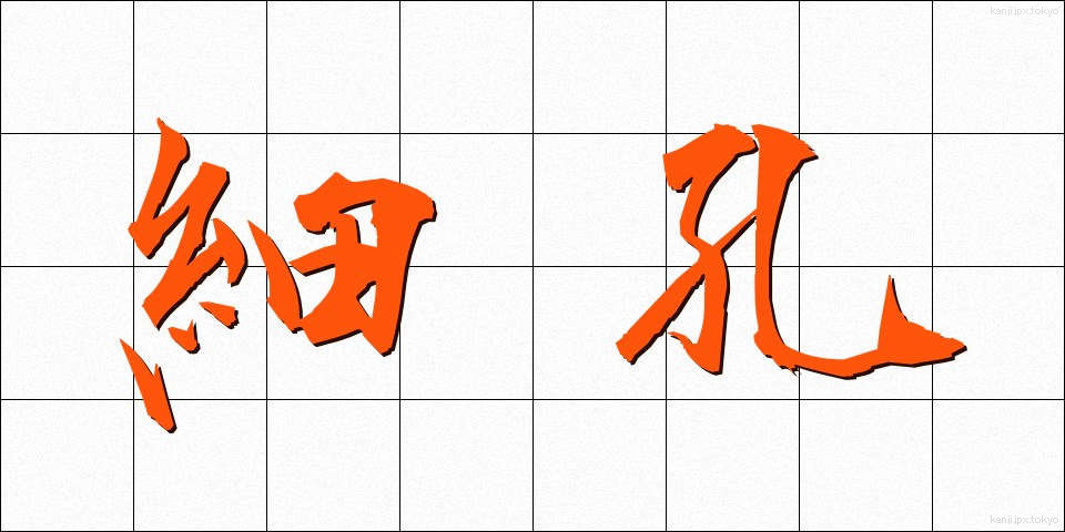 細孔 (さいこう)