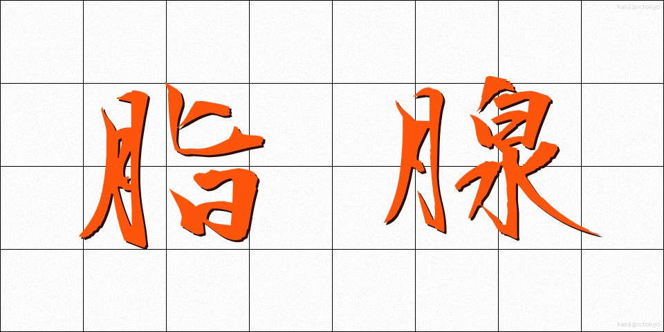 脂腺 (しせん)