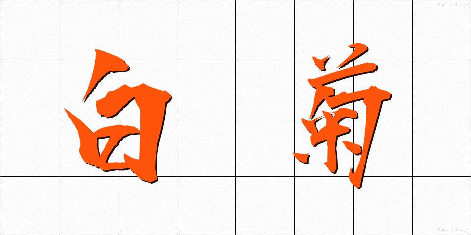 白菊 (しらぎく)