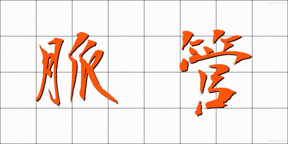 脈管 (みゃくかん)