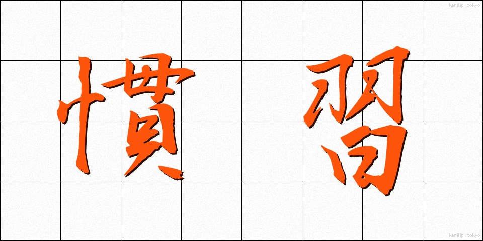慣習 (かんしゅう)