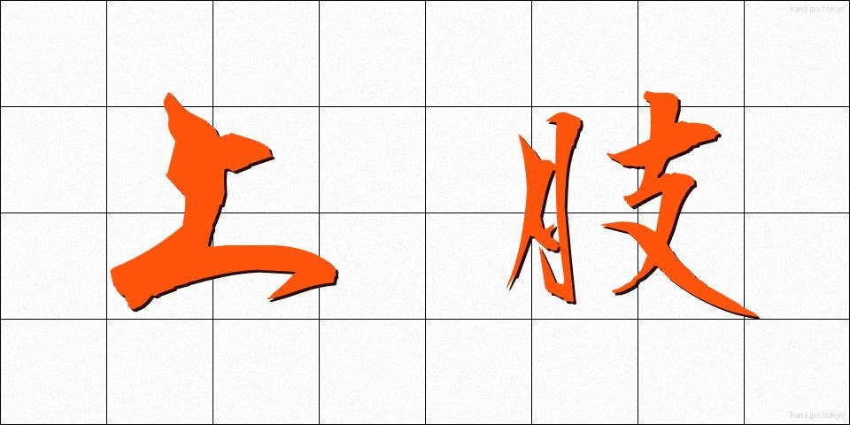 上肢 (じょうし)