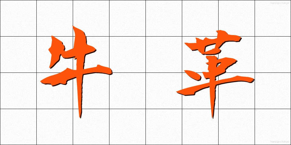 牛革 (ぎゅうかわ)