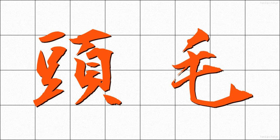 頭毛 (とうもう)