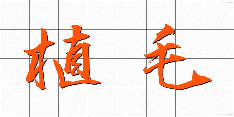 植毛 (しょくもう)