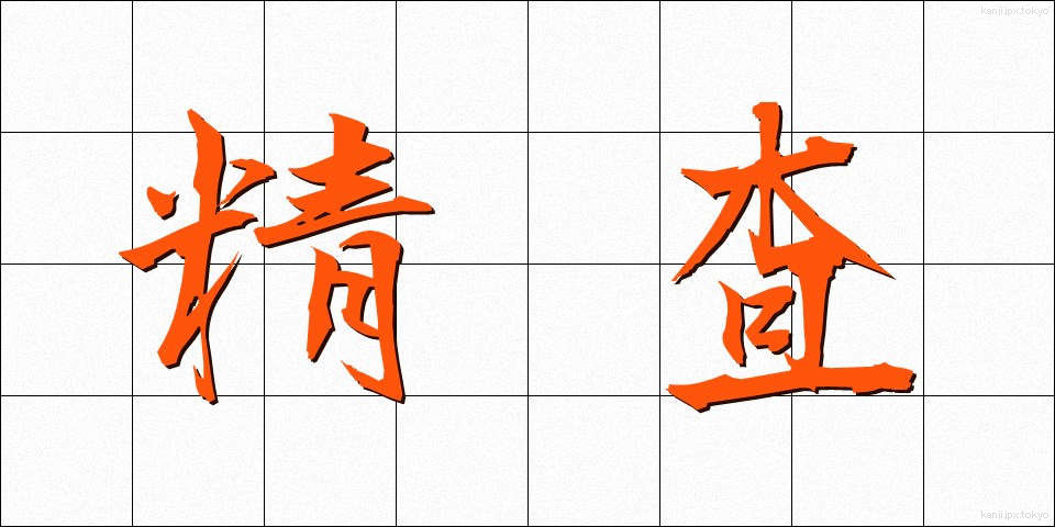 精査 (せいさ)