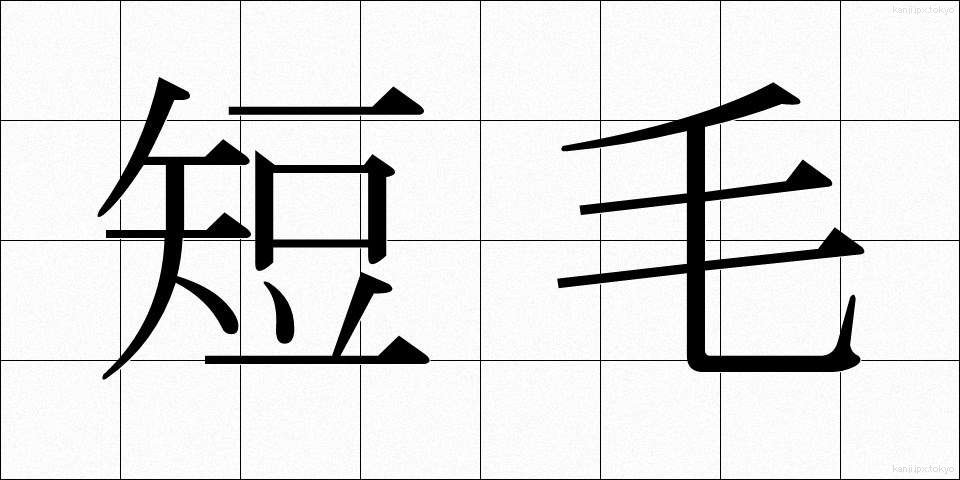 短毛 (たんもう)