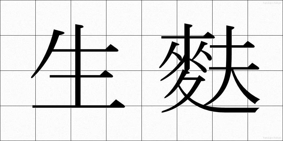 生麩 (しょうふ)