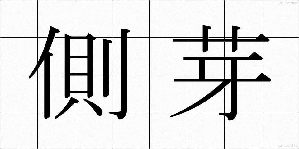 側芽 (そくが)