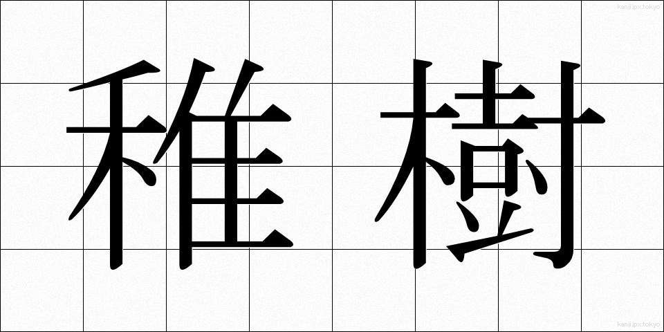 稚樹 (ちじゅ)