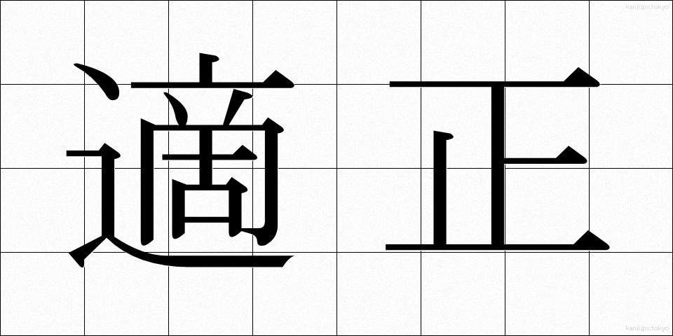 適正 (てきせい)