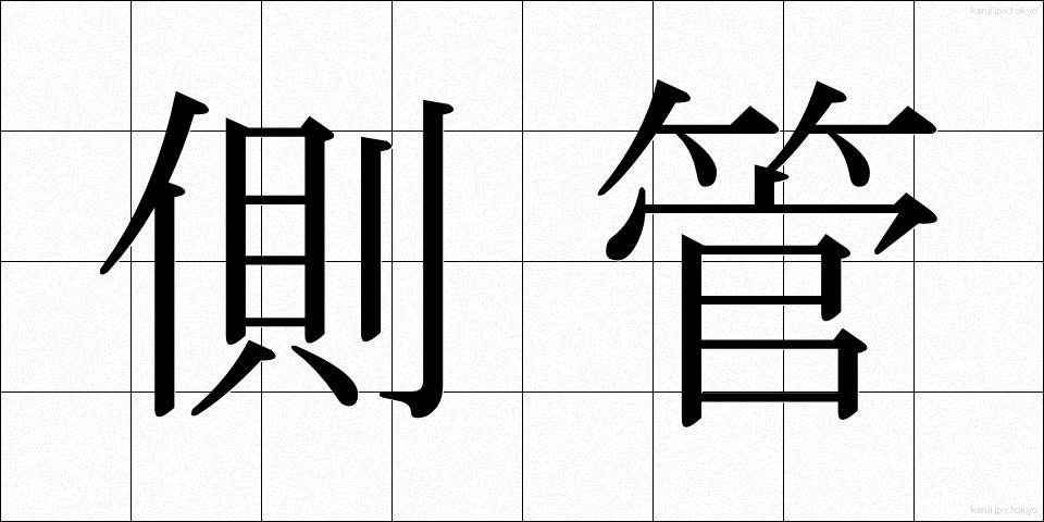 側管 (そくかん)