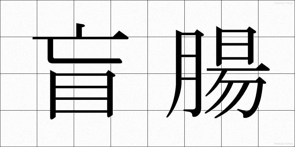 盲腸 (もうちょう)