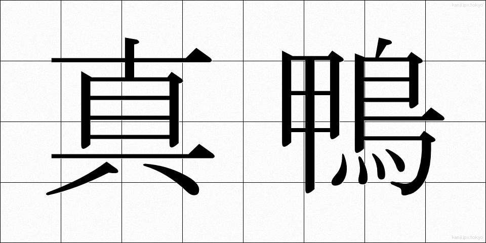 真鴨 (まがも)