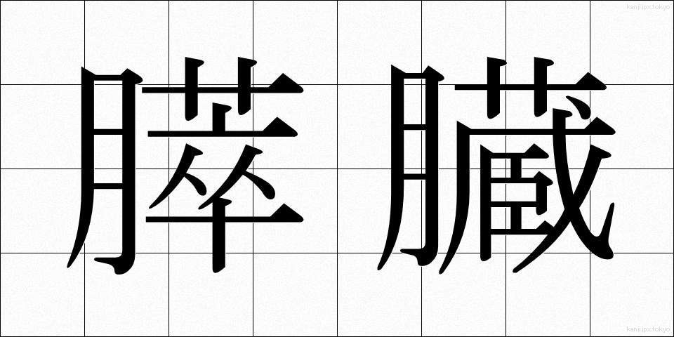 膵臓 (すいぞう)