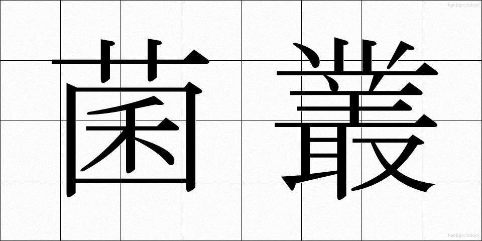 菌叢 (きんそう)