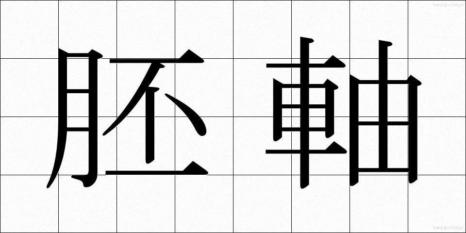 胚軸 (はいじく)
