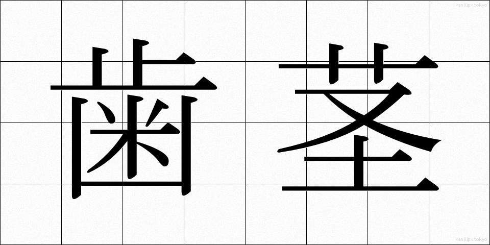 歯茎 (はぐき)