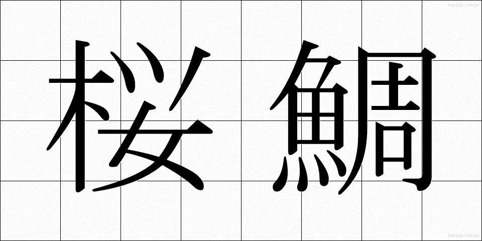 桜鯛 (さくらだい)