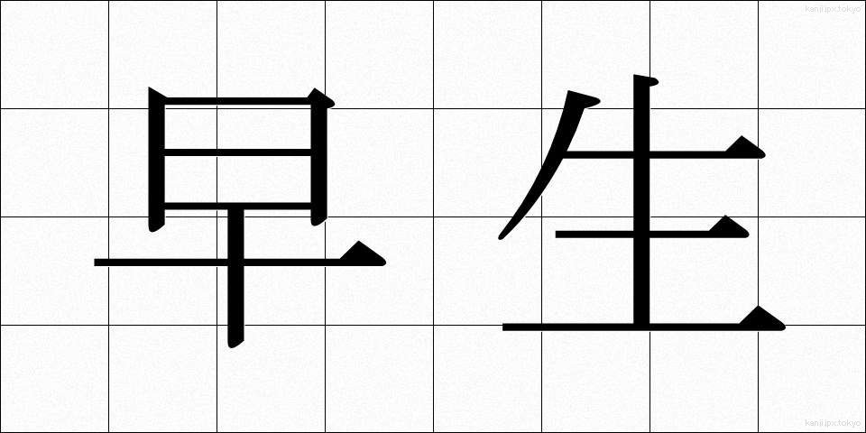 早生 (わせ)