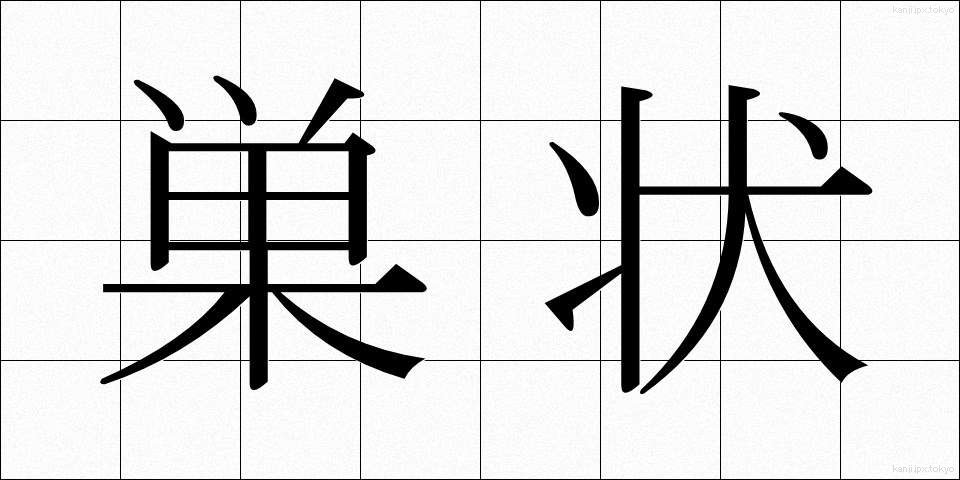 巣状 (すじょう)