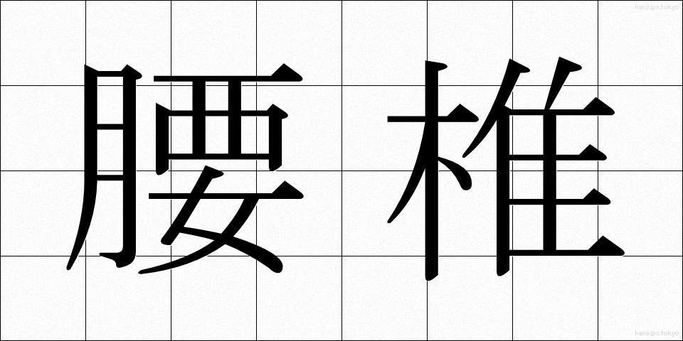 腰椎 (ようつい)