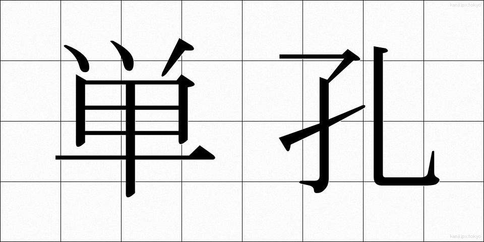 単孔 (たんこう)