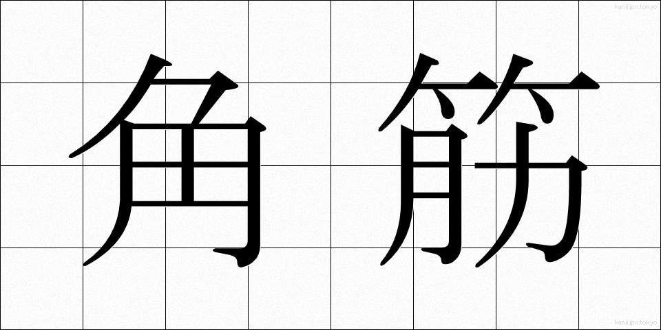 角筋 (かくすじ)
