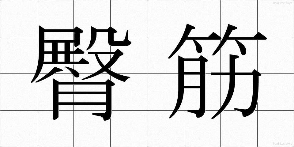 臀筋 (でんきん)