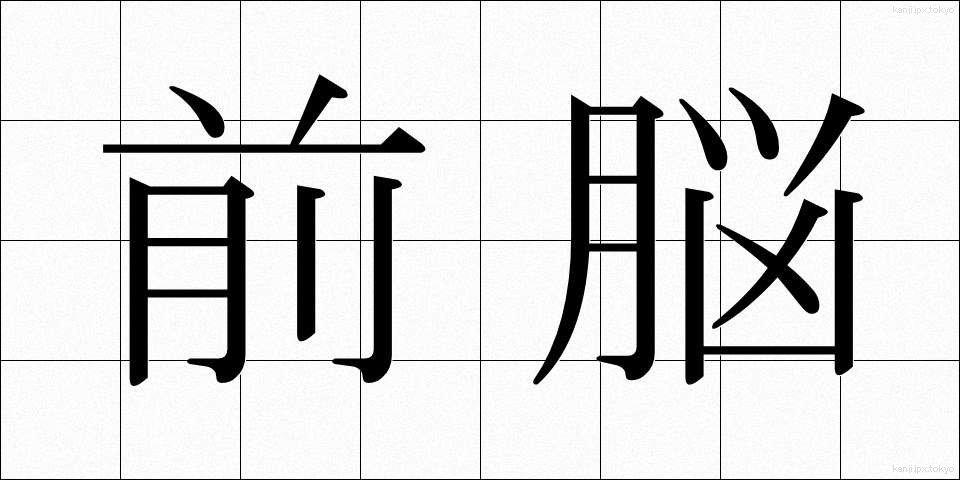 前脳 (ぜんのう)