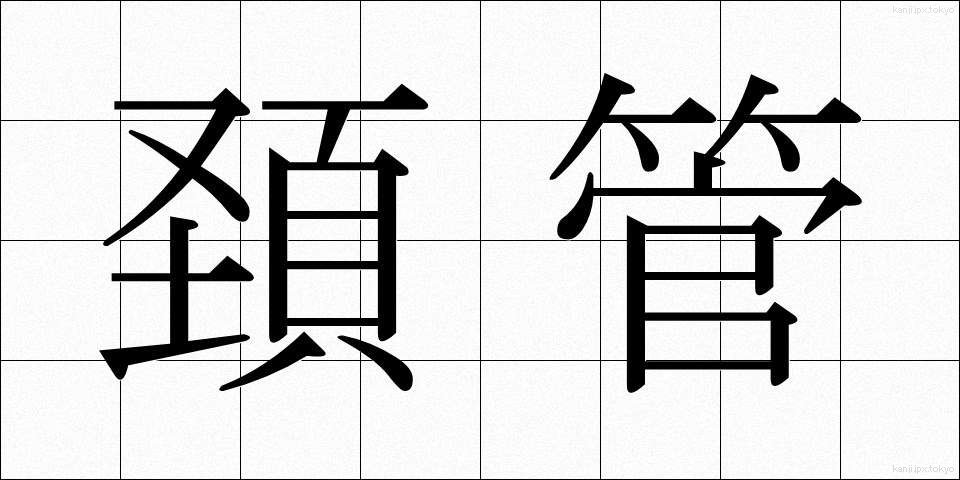 頚管 (けいかん)