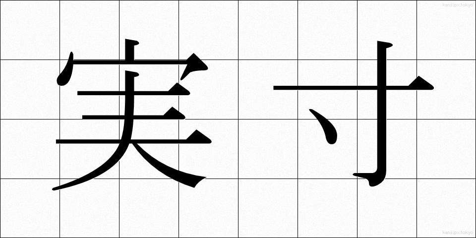 実寸 (じっすん)