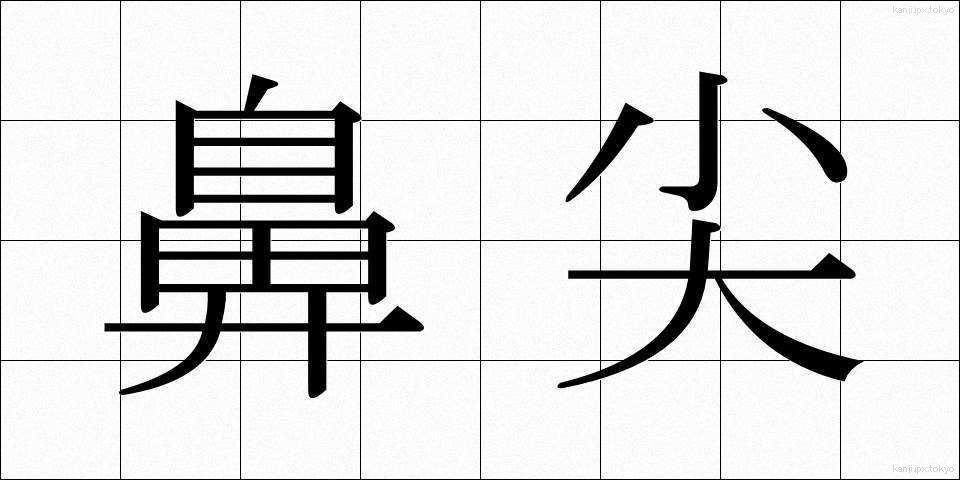 鼻尖 (びせん)